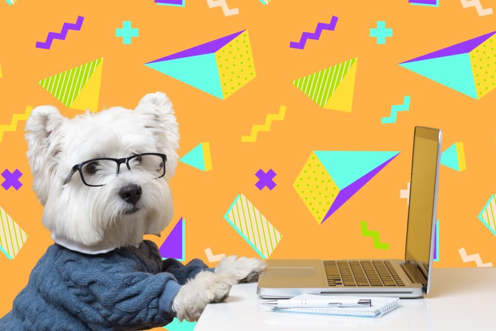 web design memes 2026